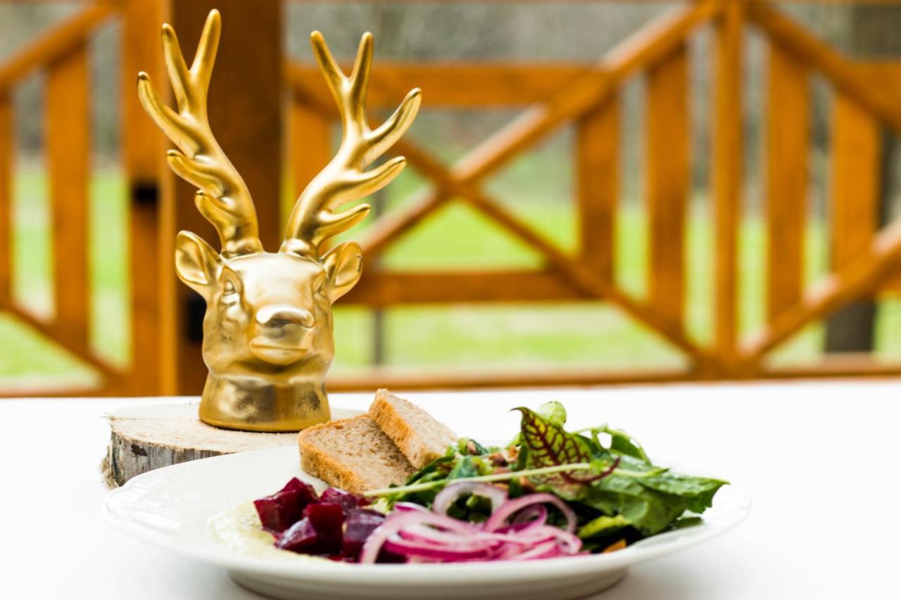 Zloty Jelen - Restauracja I Dom Goscinny Potok Zloty Kültér fotó